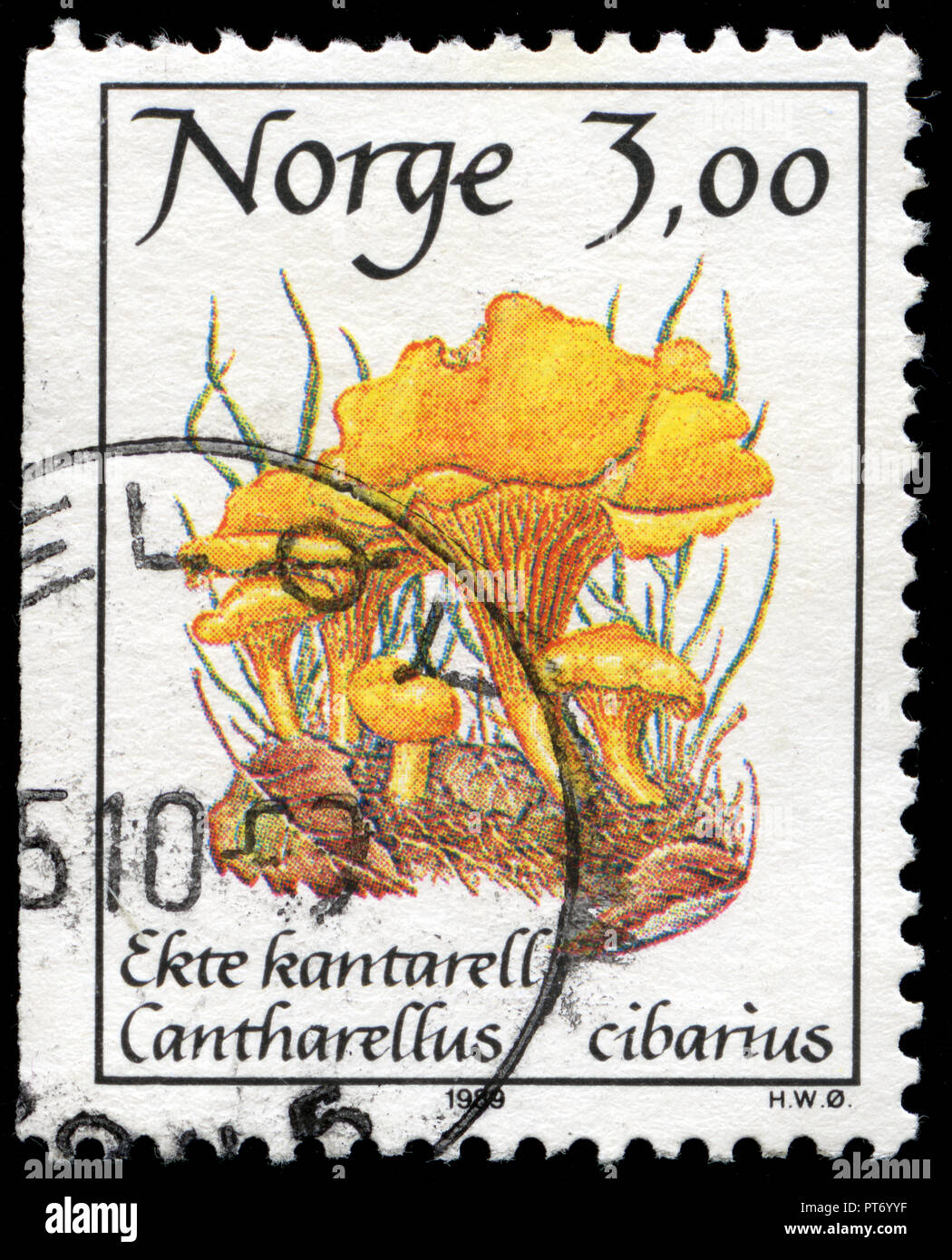 Postmarked stamp from Norway in the Mushrooms series issued in 1989 Stock Photo