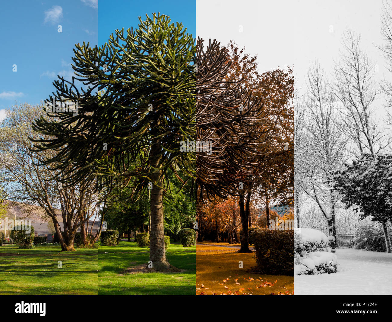 Winter summer same hires stock photography and images Alamy
