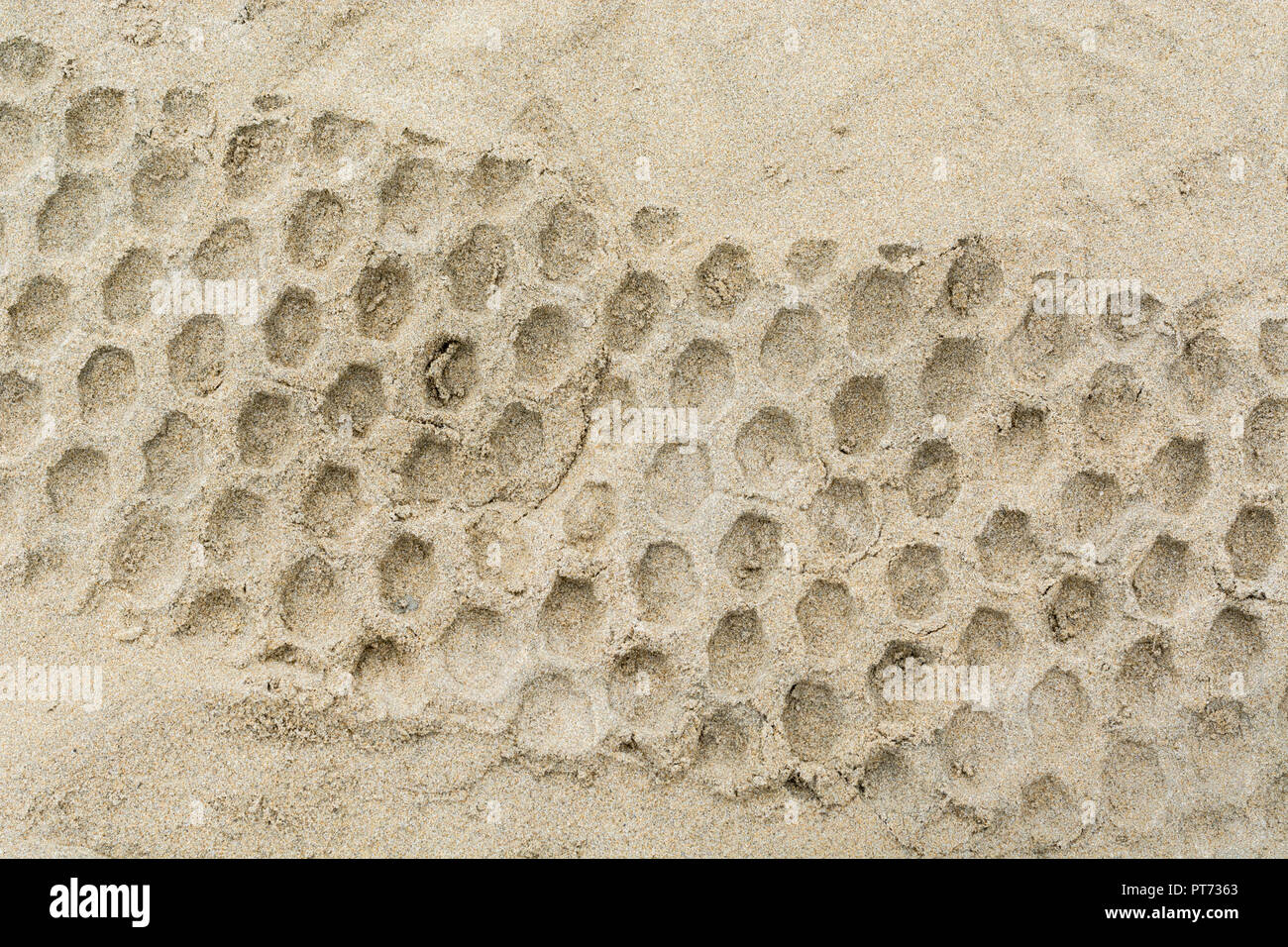 Tyre tracks in sand. Stock Photo