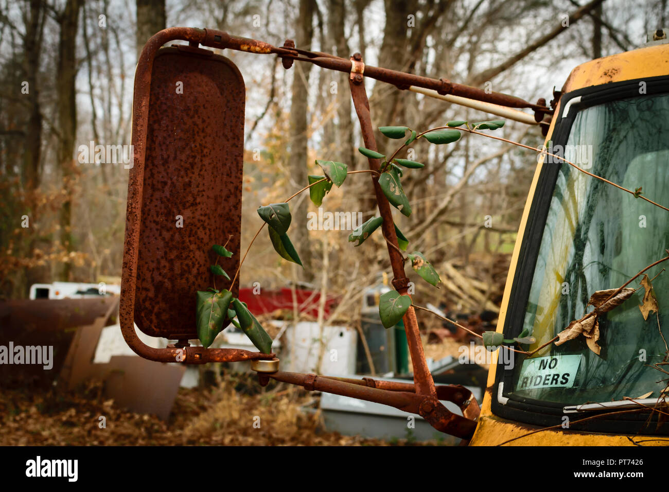 Abandoned work truck with rusted mirror in a wooded area, no riders sticker in the windshield. Stock Photo