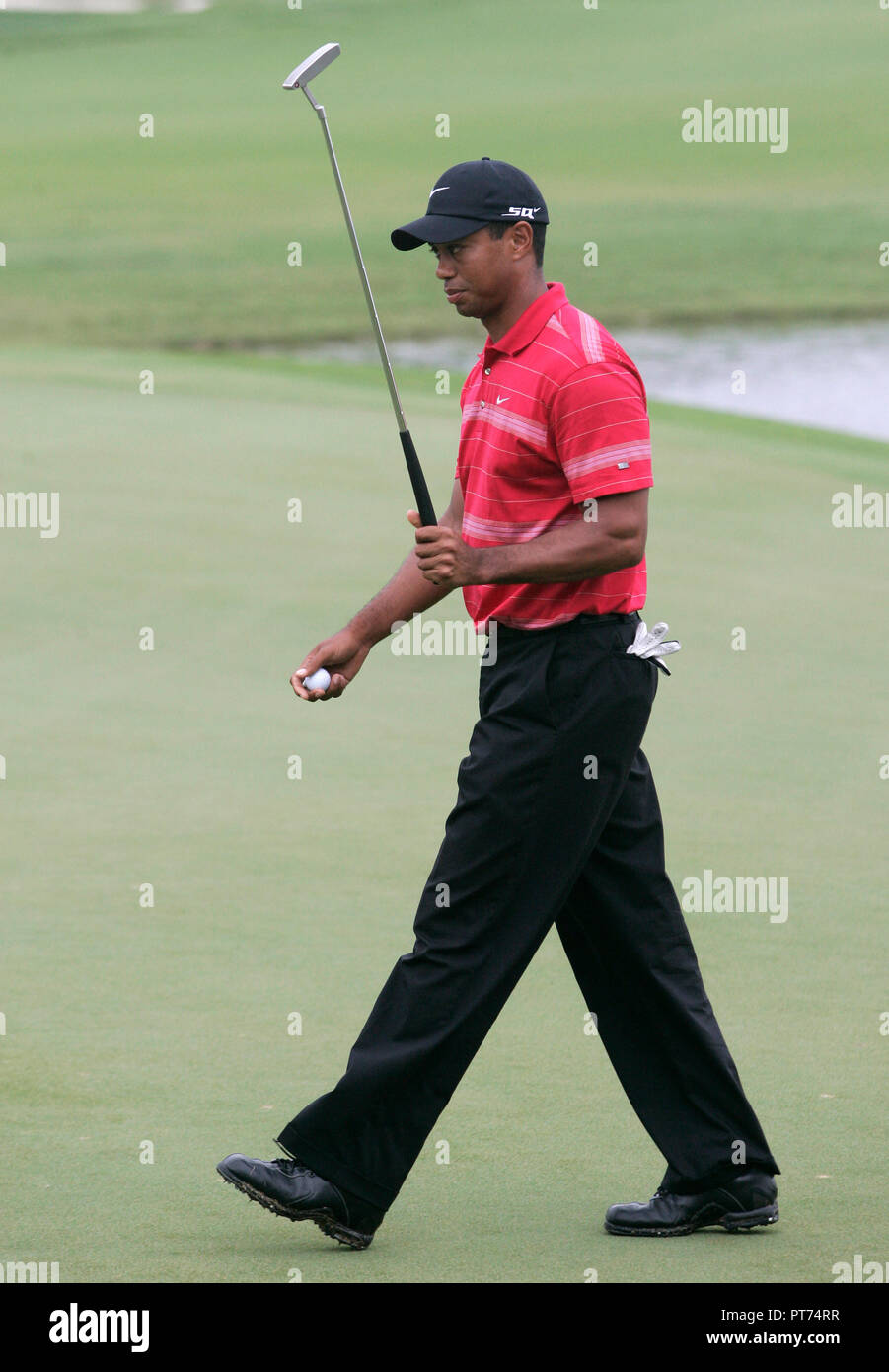 Tiger Woods putts on the 18th green during the final round of the World Golf Championships - CA Championship at Doral Resort and Spa in Doral, Florida on March 24, 2008. Stock Photo