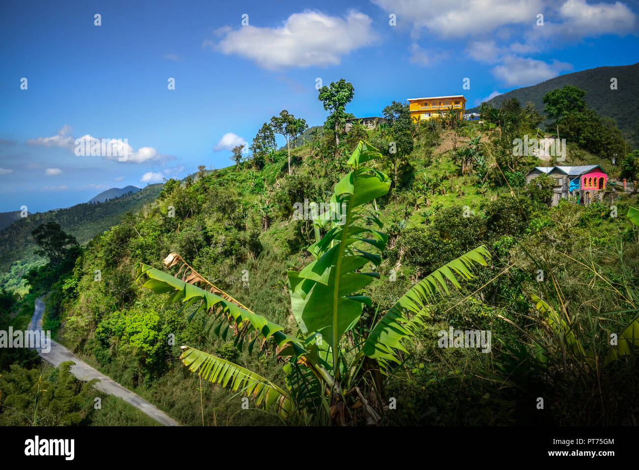 Jamaica, Blue Mountains , local life up high in middle of green, wild nature Stock Photo