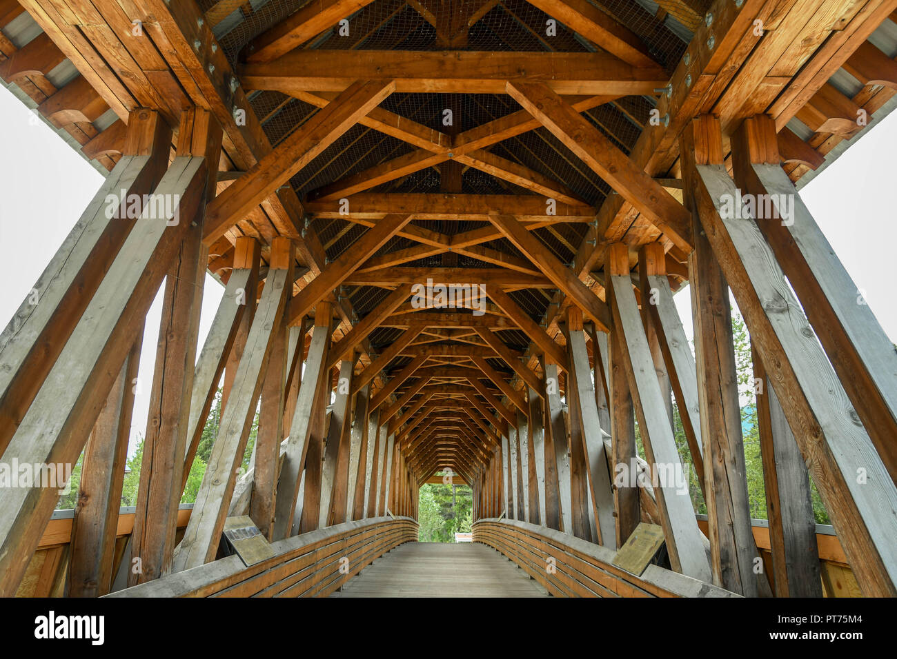 GOLDEN, BRITISH COLUMBIA, CANADA - JUNE 2018: Inside view of the timber construction of the Kicking Horse pedestrian bridge over the river of the same Stock Photo
