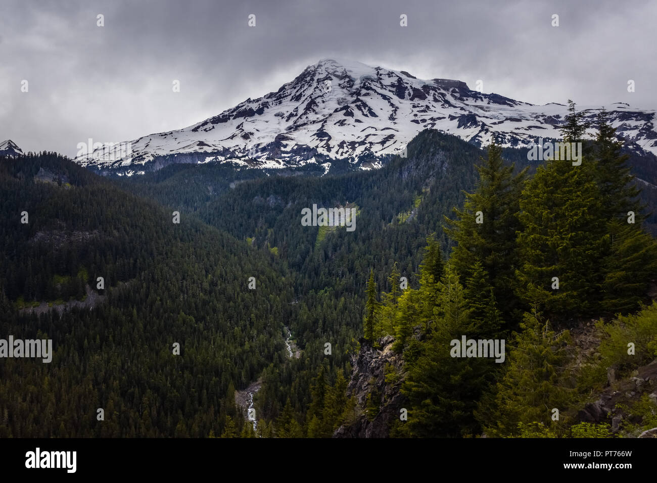Scenic overlook at Mount Rainier National Park with Mt Rainier covered with snow on a cloudy gloomy day, Washington state, USA. Stock Photo
