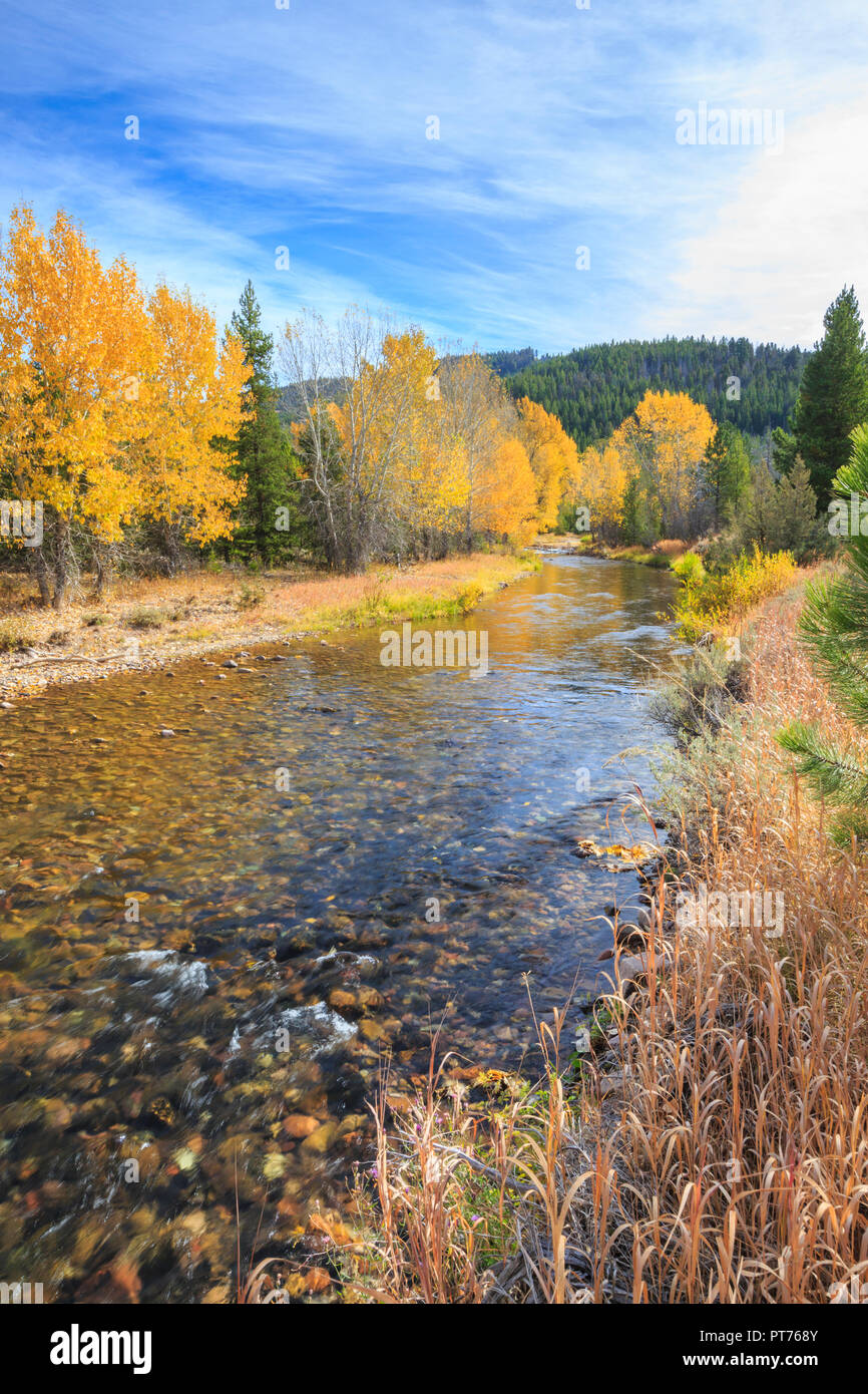 upper blackfoot river in autumn near lincoln, montana Stock Photo Alamy