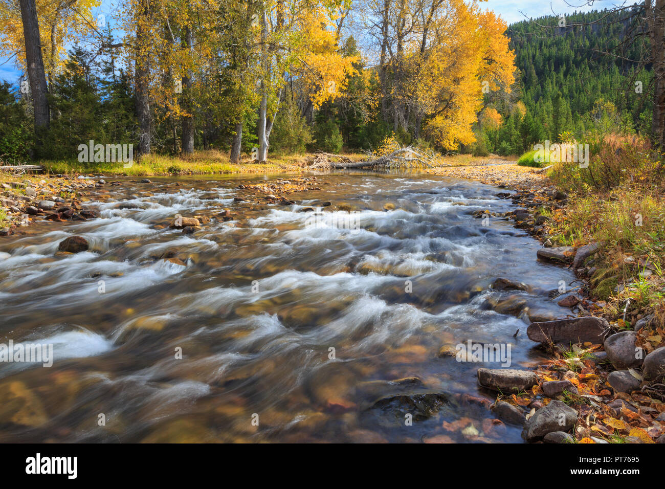 upper blackfoot river in autumn near lincoln, montana Stock Photo Alamy
