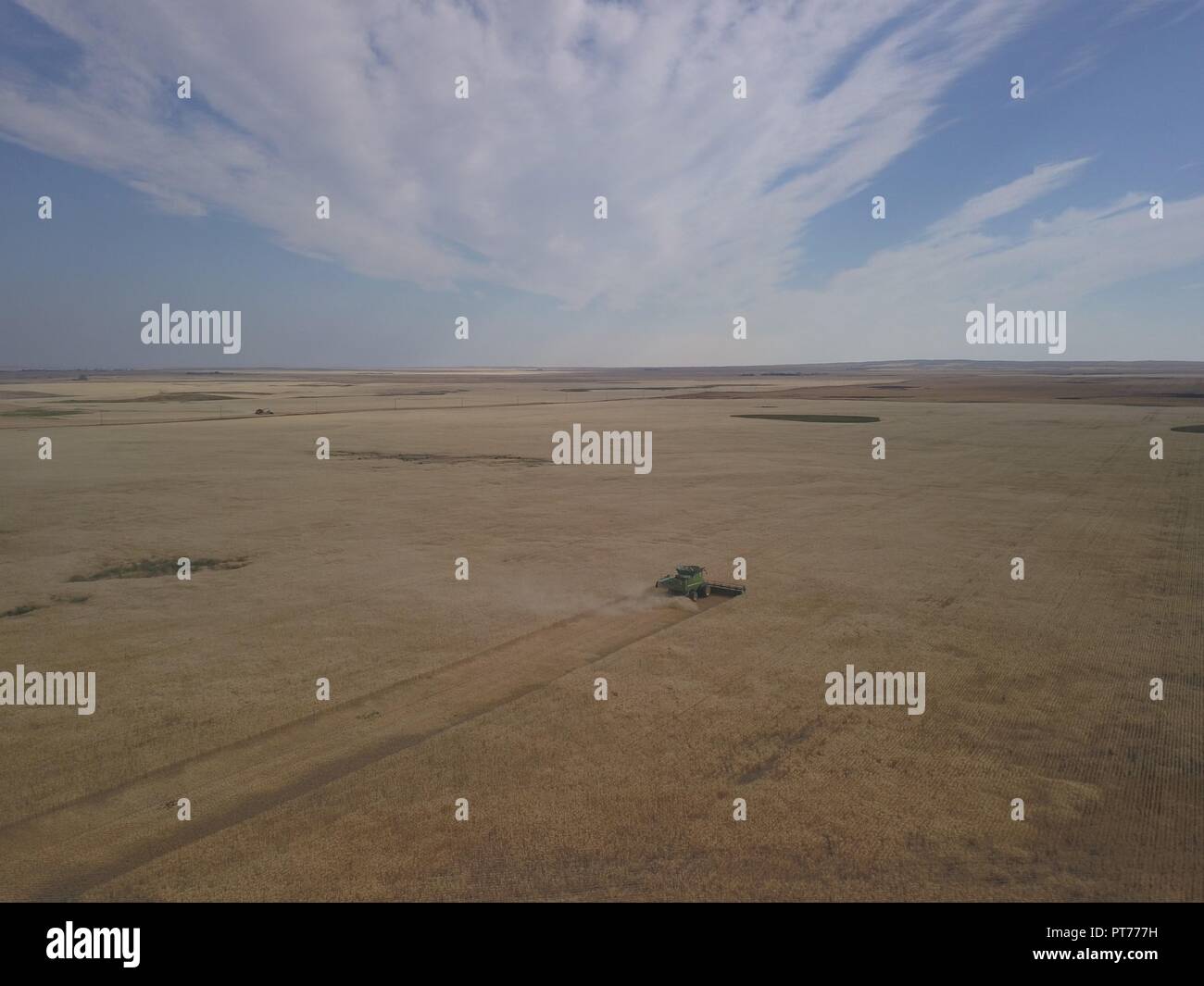 Combine Harvesting of Wheat, Saskatchewan, Canada, Brian Martin RMSF