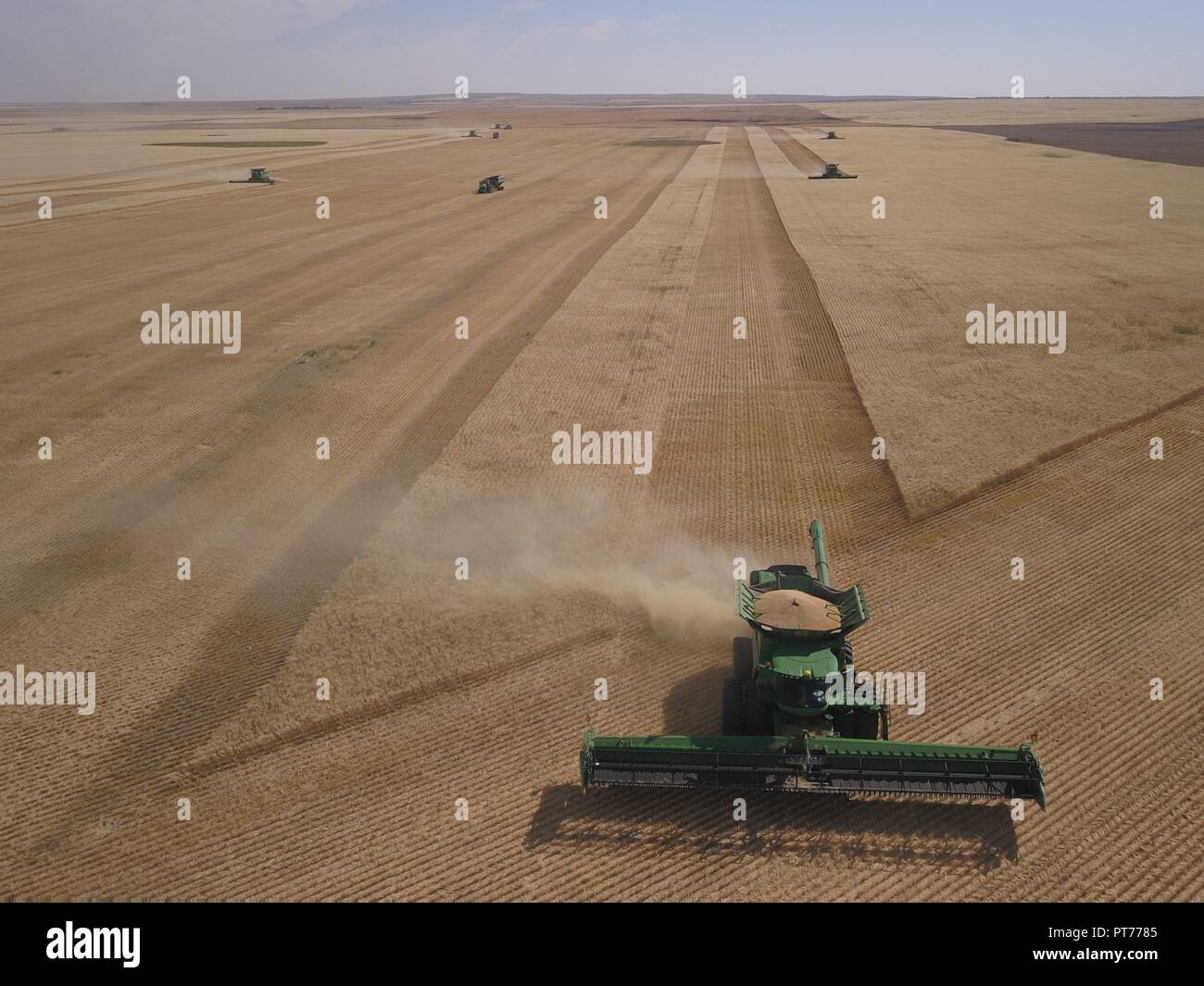Combine Harvesting of Wheat, Saskatchewan, Canada, Brian Martin RMSF