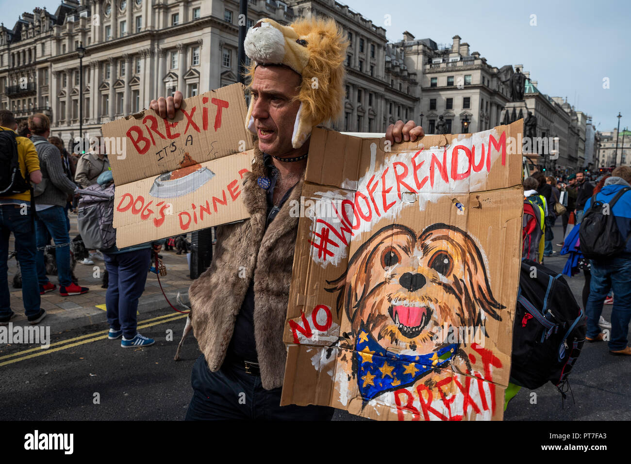 Pet passport uk hires stock photography and images Alamy