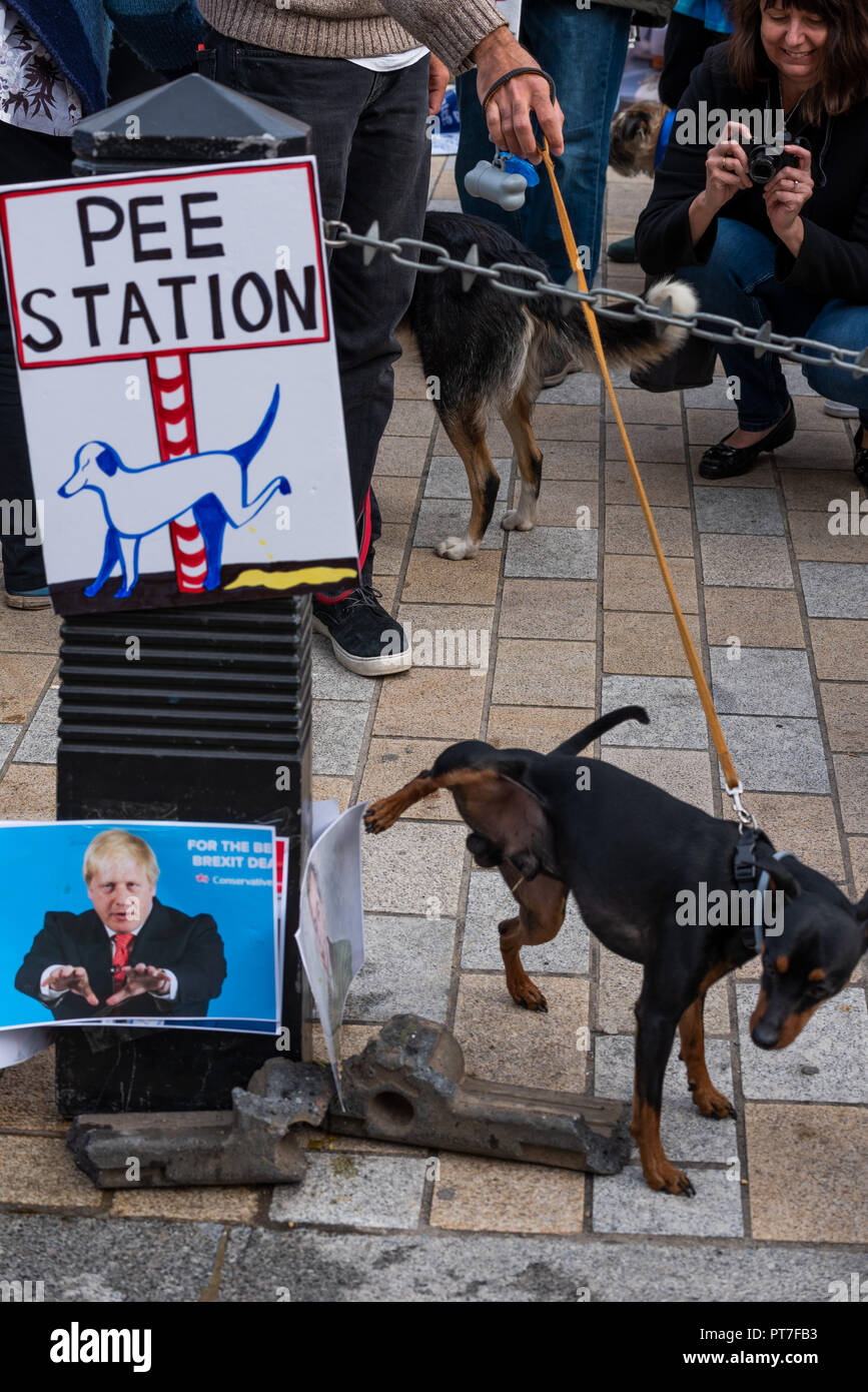 Pet passport uk hires stock photography and images Alamy