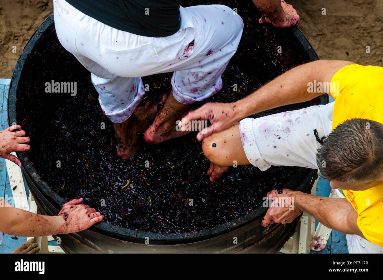 Grape stomping contest hires stock photography and images Alamy