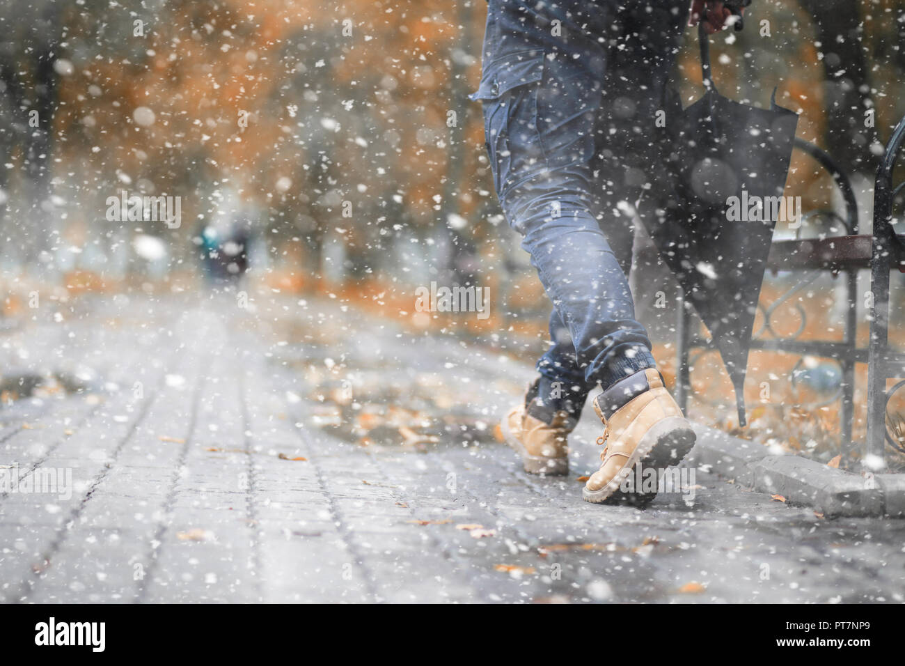 Autumn park in the first snow Stock Photo - Alamy