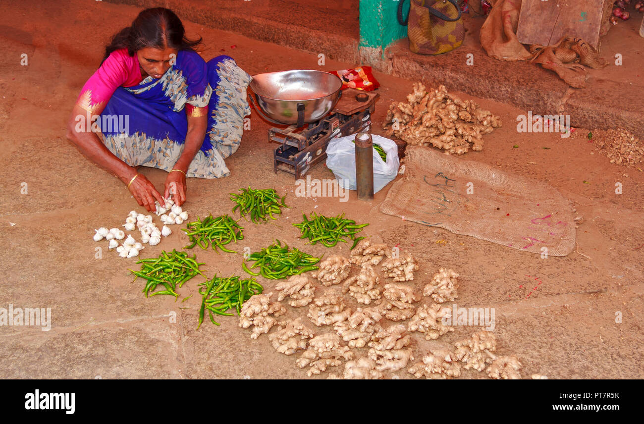 GINGER TUBERS GREEN CHILLIES AND GARLIC CLOVES FOR SLE INDIA Stock Photo