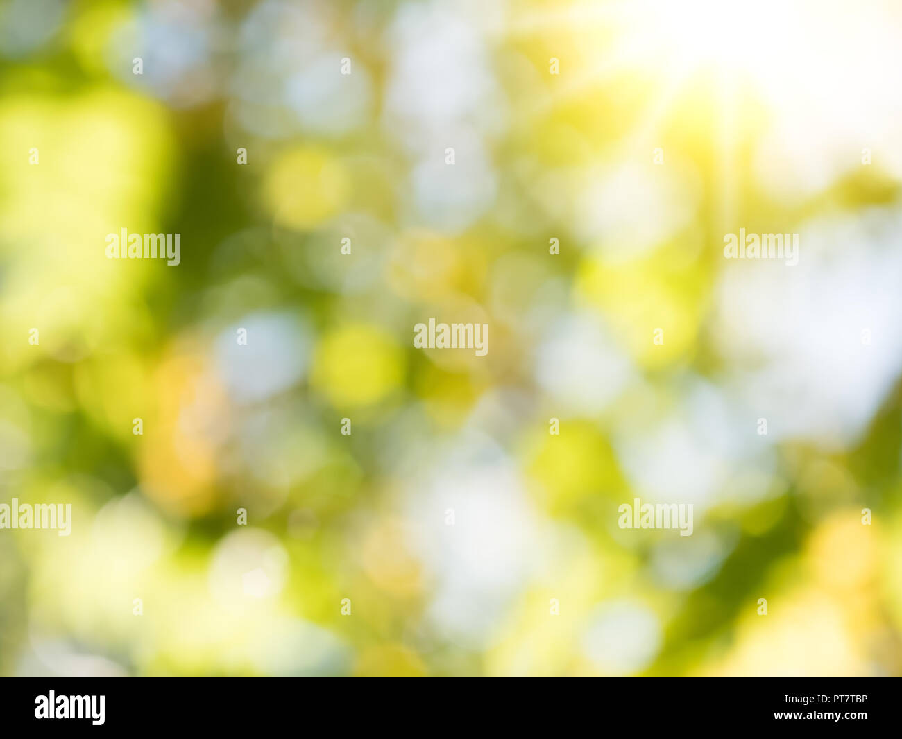 Natural green blured summer hi-res stock photography and images - Alamy