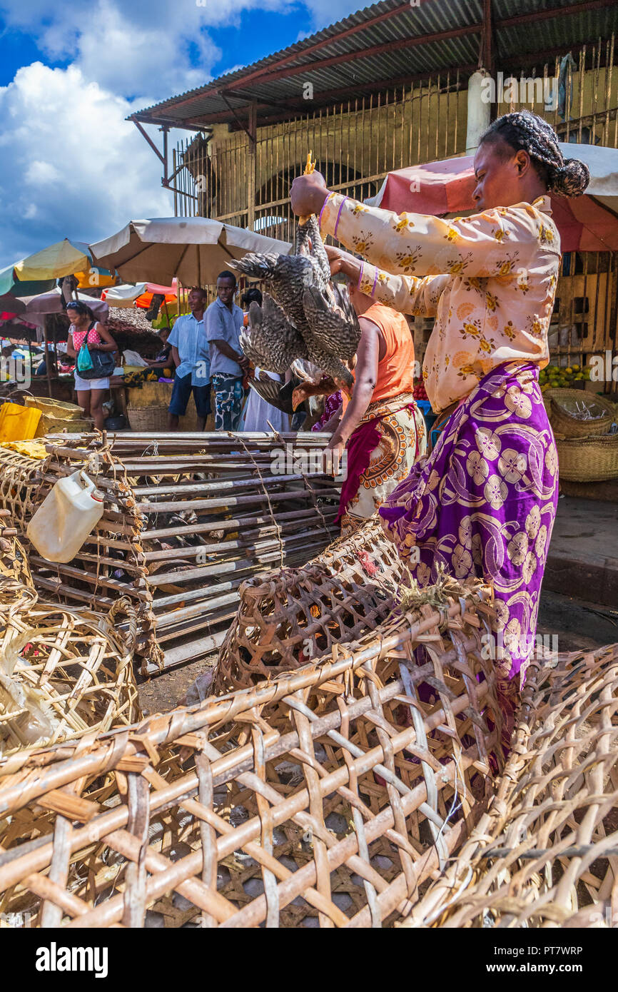 HELL VILLE, MADAGASCAR - DECEMBER 19, 2015: Malagasy woman is buying chicken at the market in Hell Ville, a town at the Nosy Be island, North of Madagascar. Stock Photo