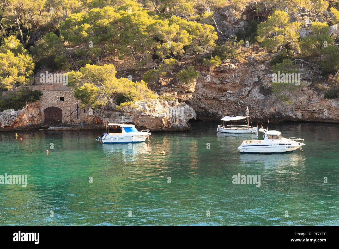 Early in the morning in the port of Cala Figuera, Santanyi, Europe, Spain, Mallorca, Cala Figuera, Santanyi, Balearic Islands, Spain, Mediterranean Se Stock Photo