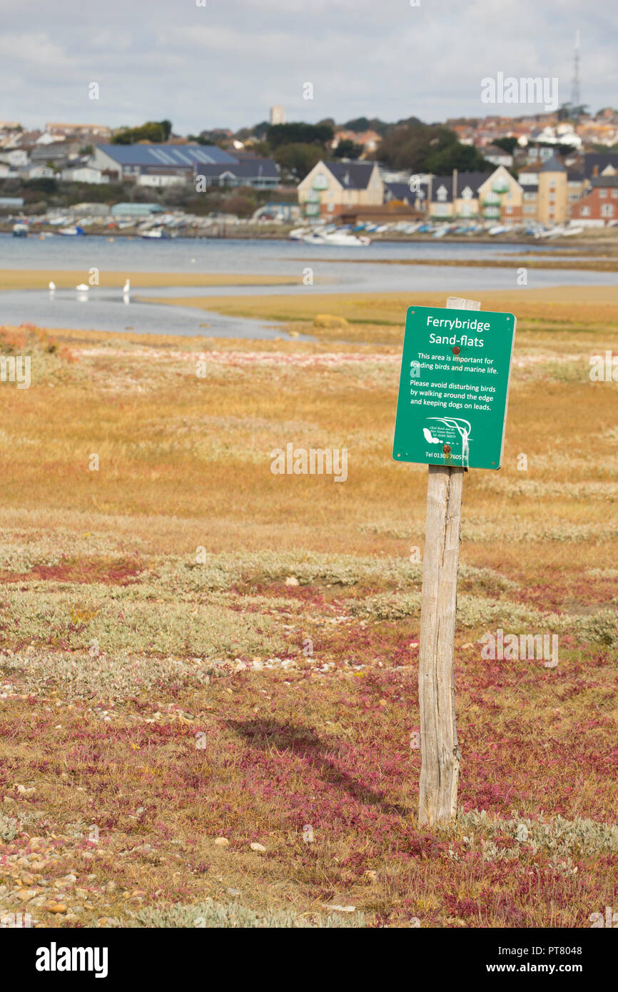 A sign near Ferrybridge at the Eastern end of The Fleet Lagoon behind Chesil Beach requesting that visitors keep their dogs under control and avoid di Stock Photo