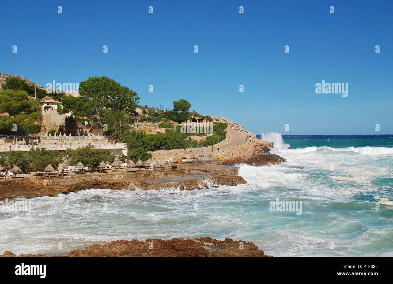 calça de onça 2018