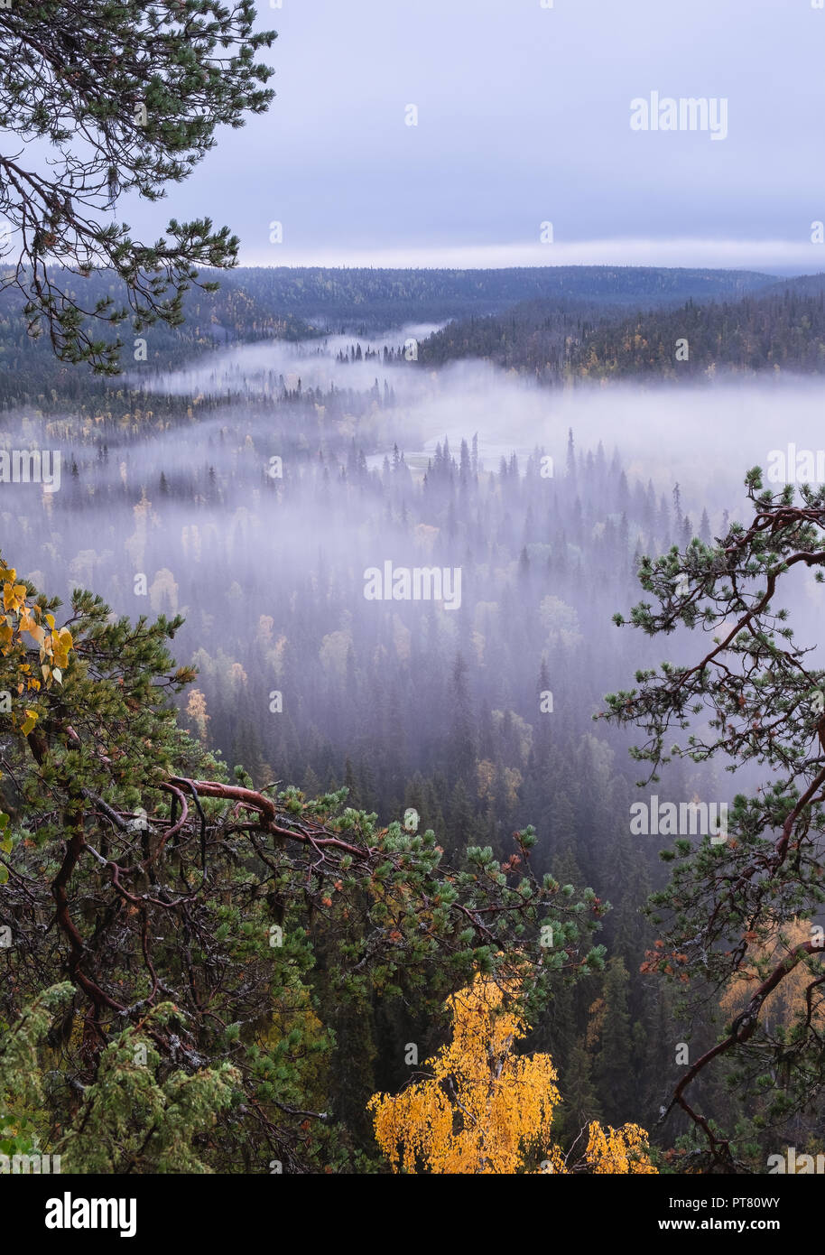 Scenic landscape view with morning fog and fall colors at moody day in Kuusamo, Finland Stock Photo