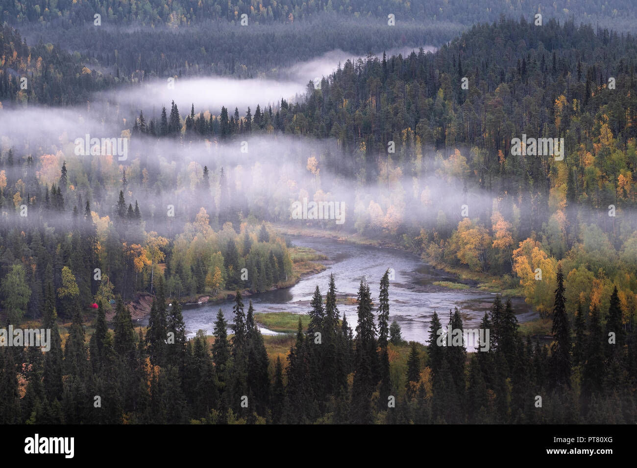 Scenic landscape view with morning fog and fall colors at moody day in Kuusamo, Finland Stock Photo