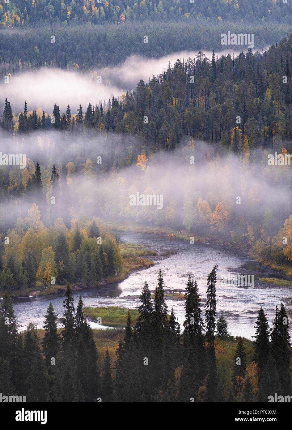 Scenic landscape view with morning fog and fall colors at moody day in Kuusamo, Finland Stock Photo