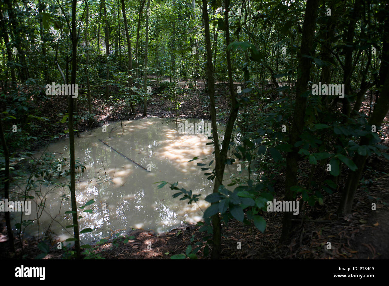 Bomb crater, Củ Chi tunnels, Ho Chi Minh City, Viet Nam Stock Photo