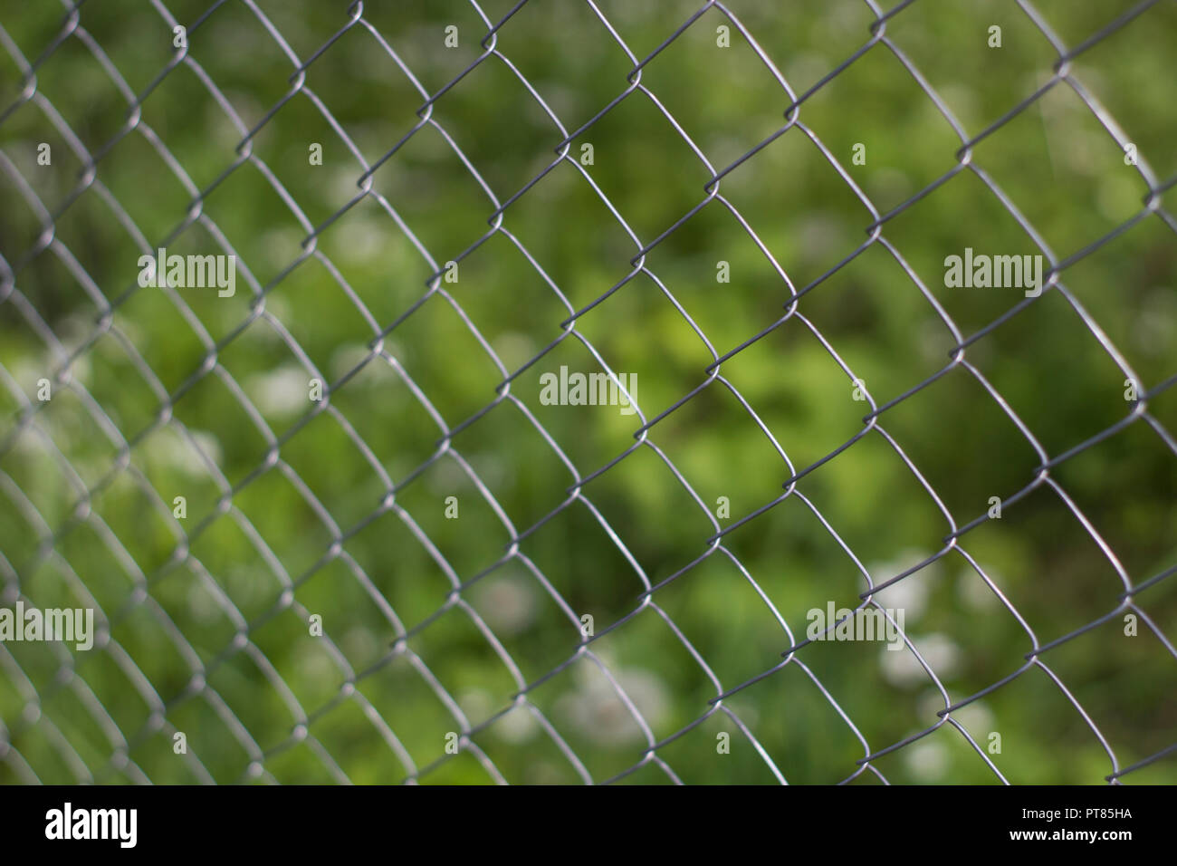 Rabitz Grid Close up on Green Background of Garden Stock Photo - Alamy