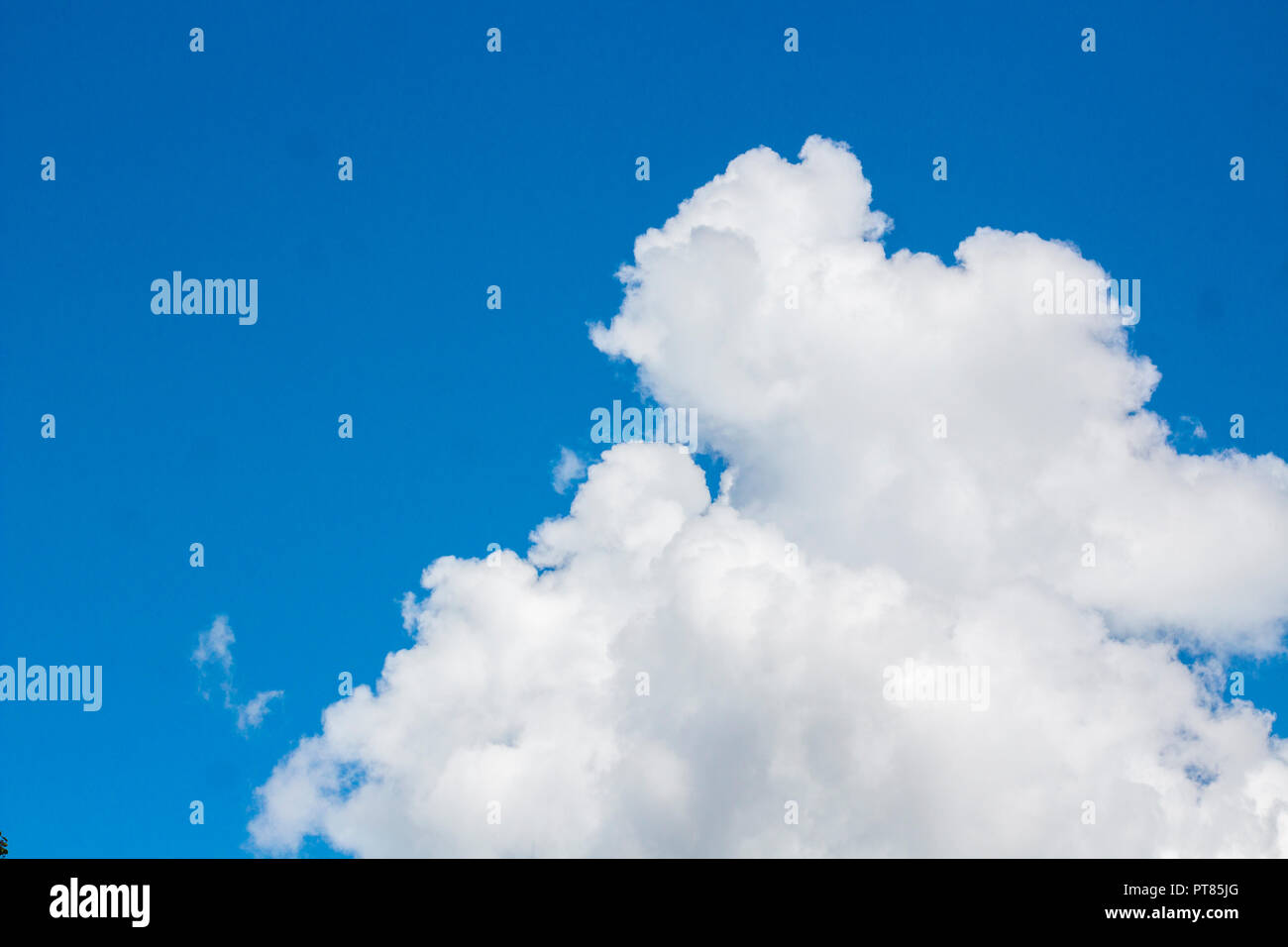 Beautiful Cumulus Clouds on Blue Sky at Sunny Day with Copy Space Stock ...