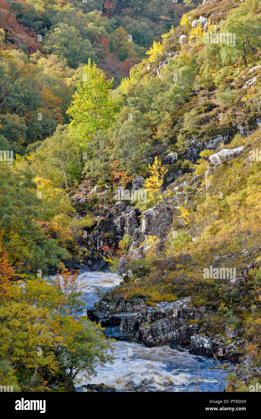 SUILVEN AND RIVER KIRKAIG SUTHERLAND SCOTLAND RIVER AND TREE LINED GORGE JUST ABOVE THE WATERFALL OR FALLS OF KIRKAIG IN AUTUMN Stock Photo