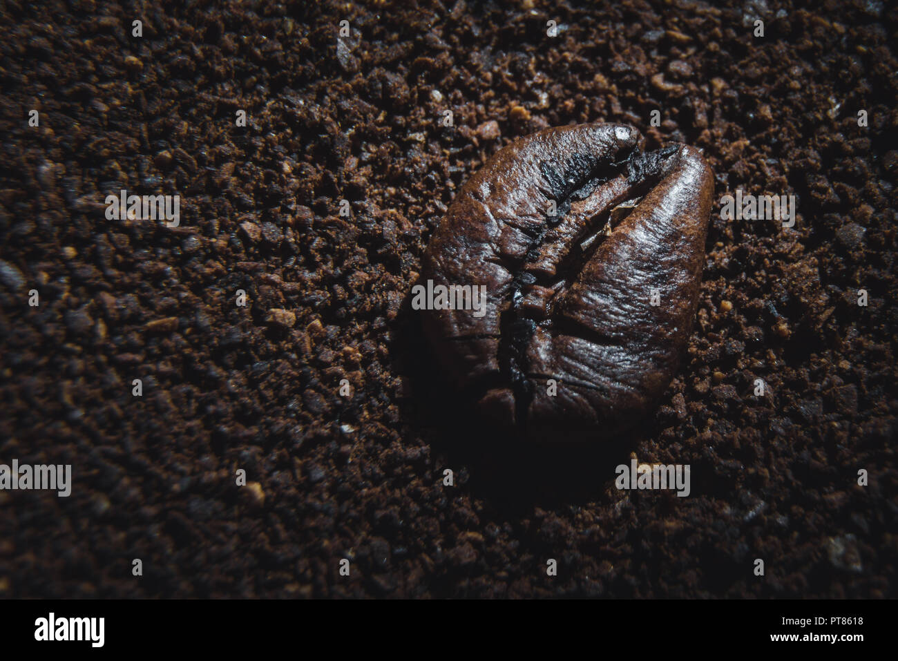 Coffee bean close up Stock Photo