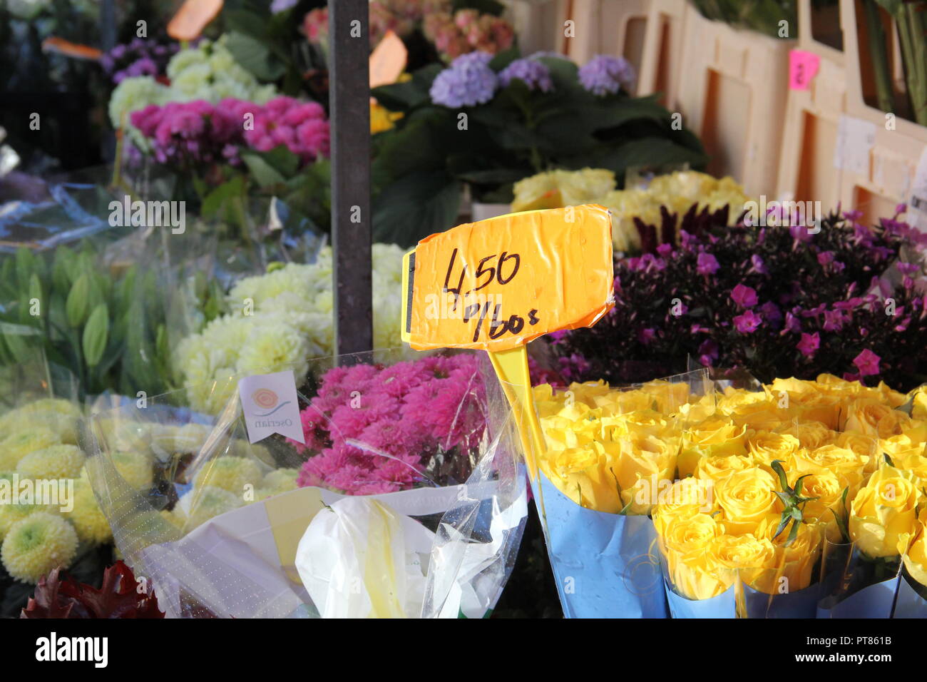 Flowers on sale in flower market Stock Photo