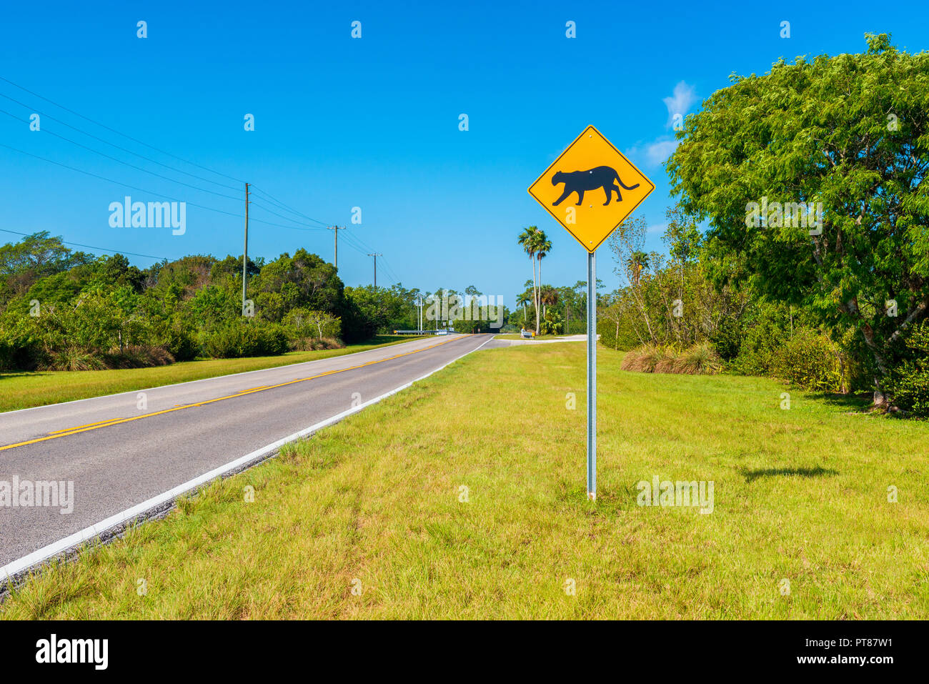 Panther Crossing Sign in Southern Florida USA Stock Photo