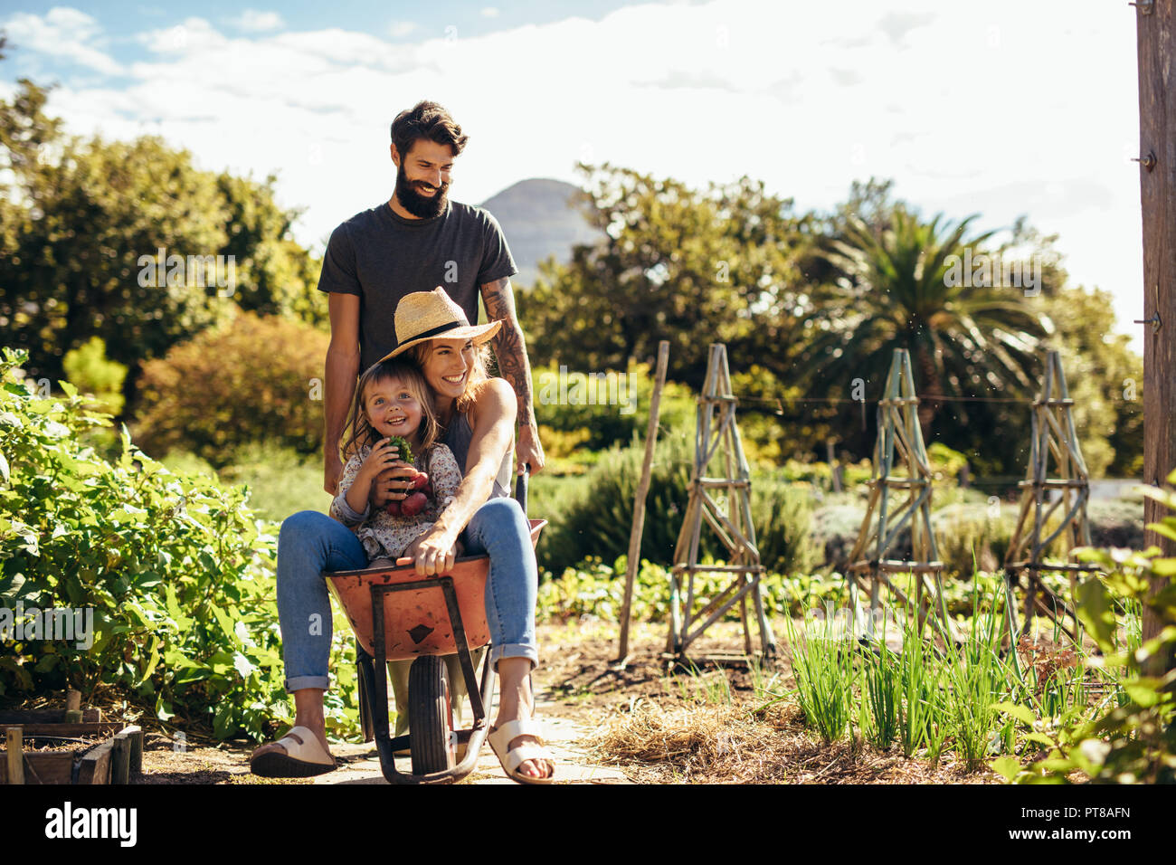 Father gives mother and daughter ride in wheelbarrow at farm. Happy ...