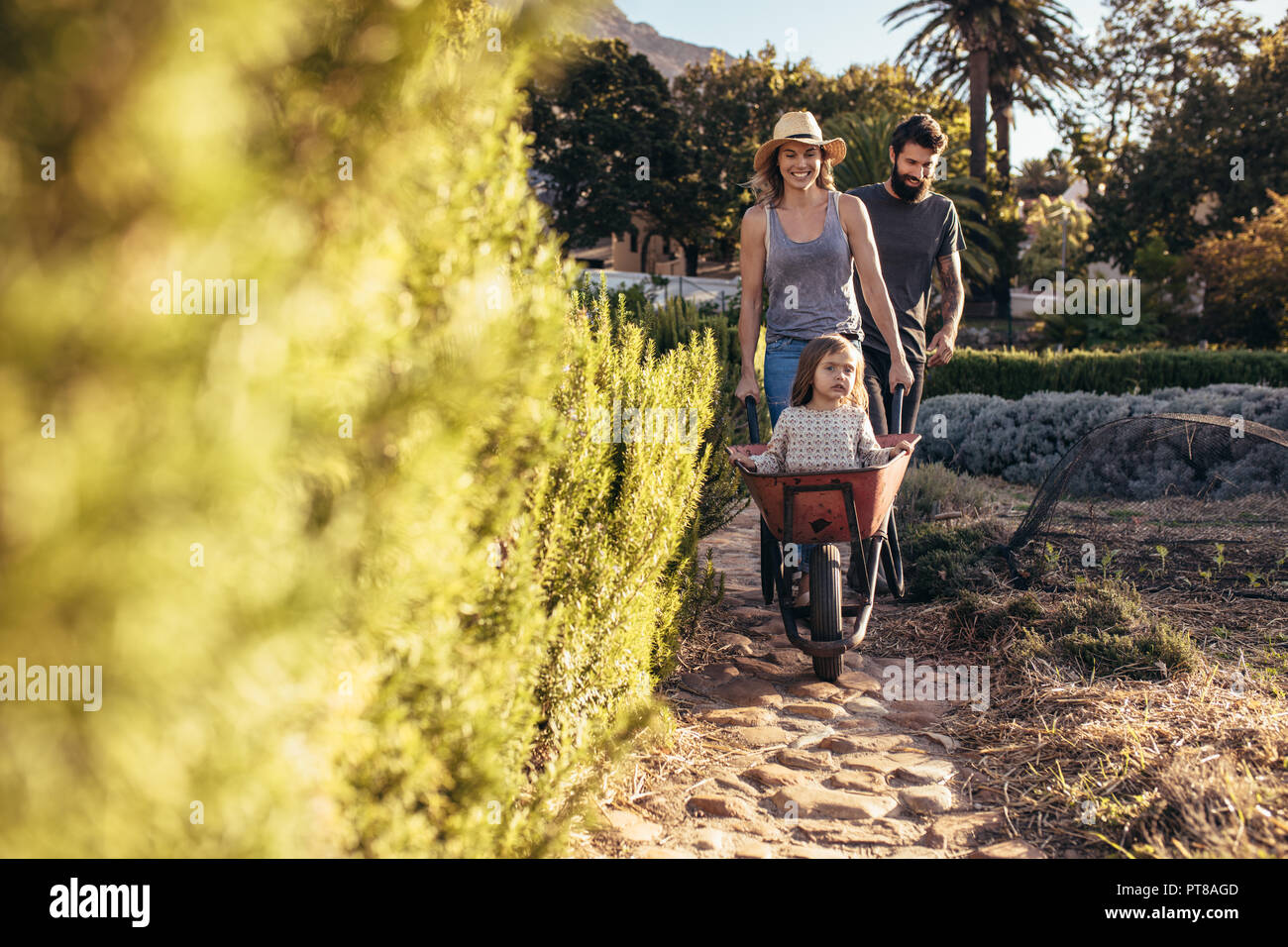 Woman pushing little girl on wheelbarrow with man walking behind. Young ...