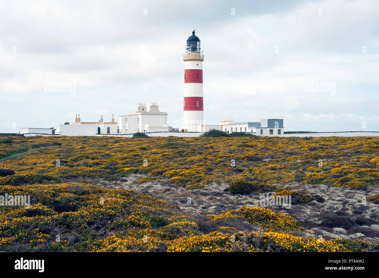Lighthouse, Point of Ayre, Isle of Man Stock Photo