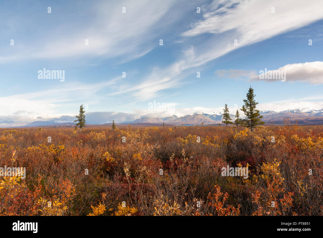 Alaskan scrub land in early fall with mountains clouds and sky Stock Photo