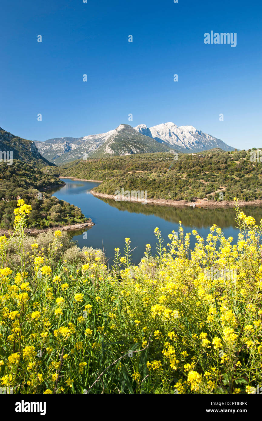 Cedrino river with Supramonte mountains in the foreground, Dorgali, Sardinia, Italy Stock Photo