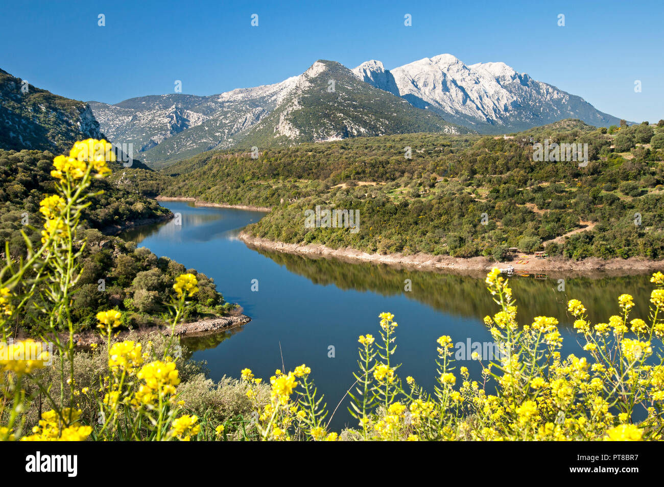 Cedrino river with Supramonte mountains in the foreground, Dorgali, Sardinia, Italy Stock Photo