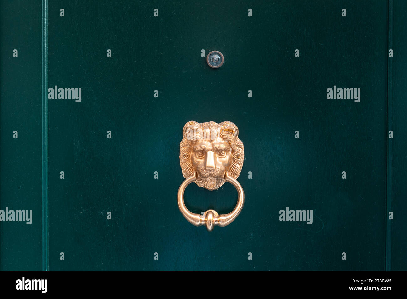 Decorative gilded lion head door knob, close view Stock Photo Alamy