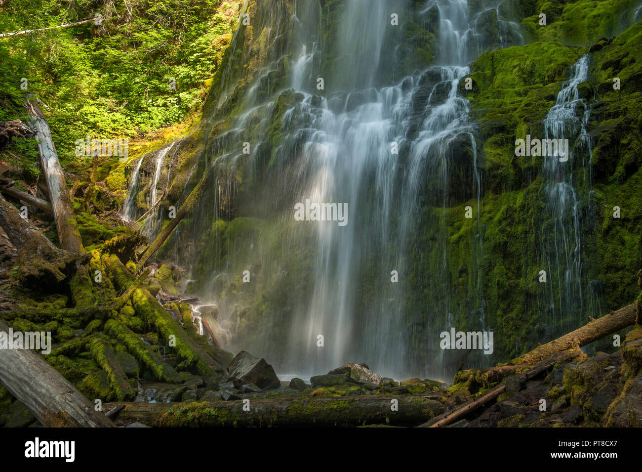 Proxy Falls in Oregon's Three Sisters Wilderness Stock Photo
