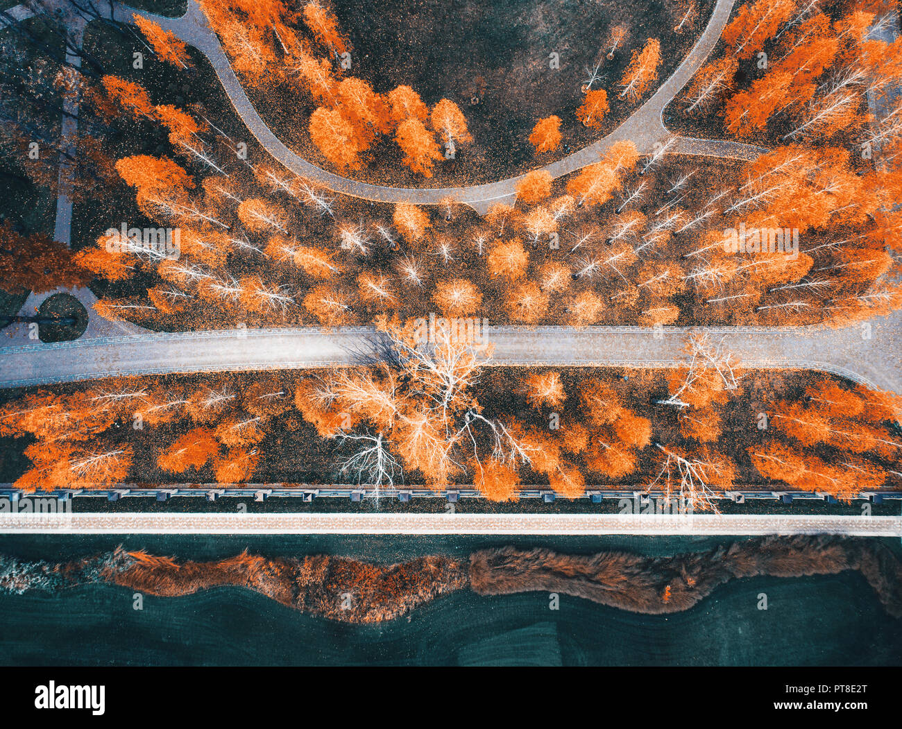 Aerial view of colorful autumn park in europe in the evening. Landscape with trees with orange leaves, field with green grass and paths in fall. Scene Stock Photo