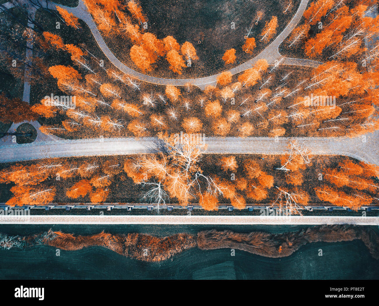 Aerial view of colorful autumn park in europe in the evening. Landscape ...