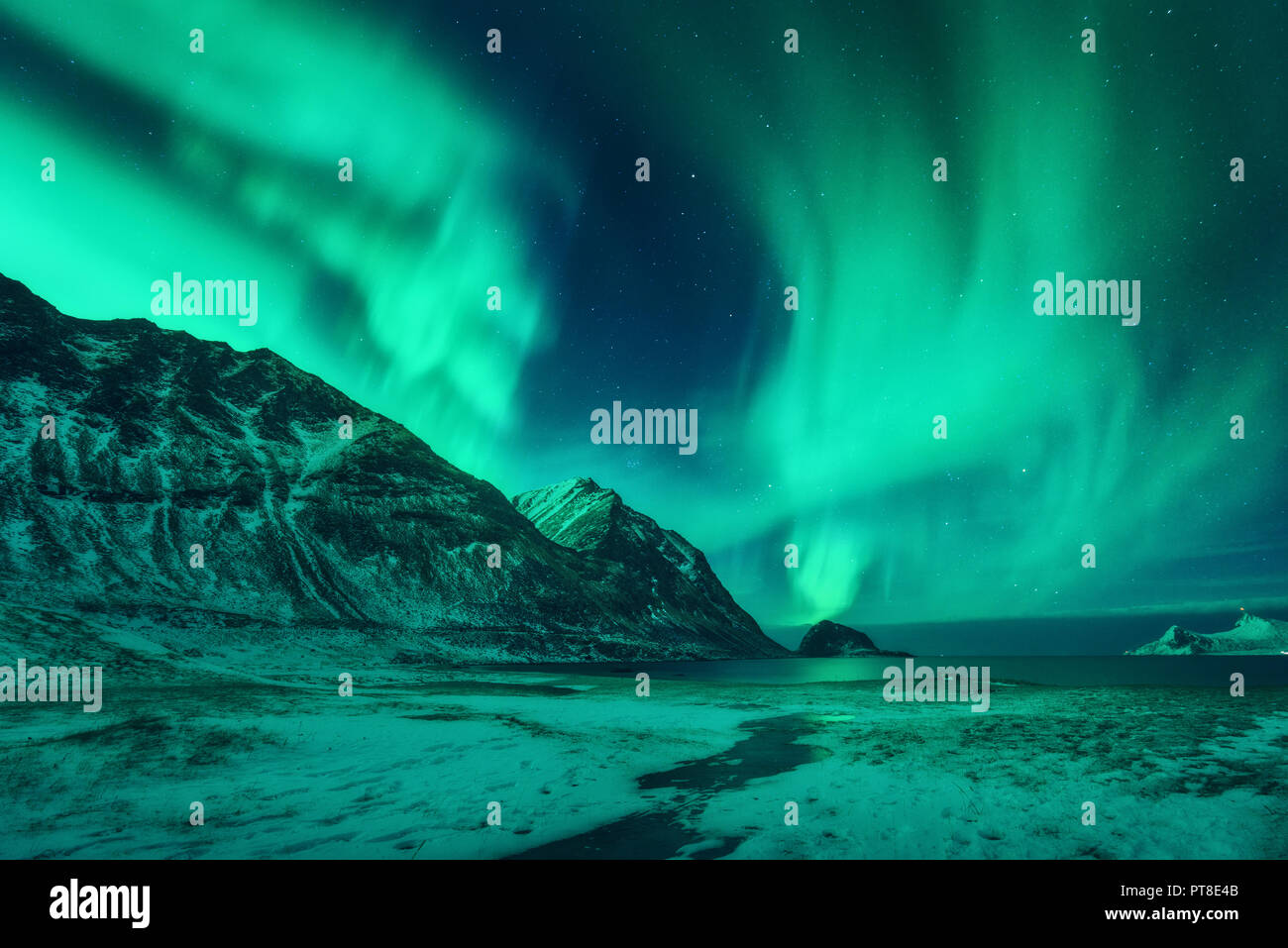 Northern lights in Lofoten islands, Norway. Green aurora borealis ...