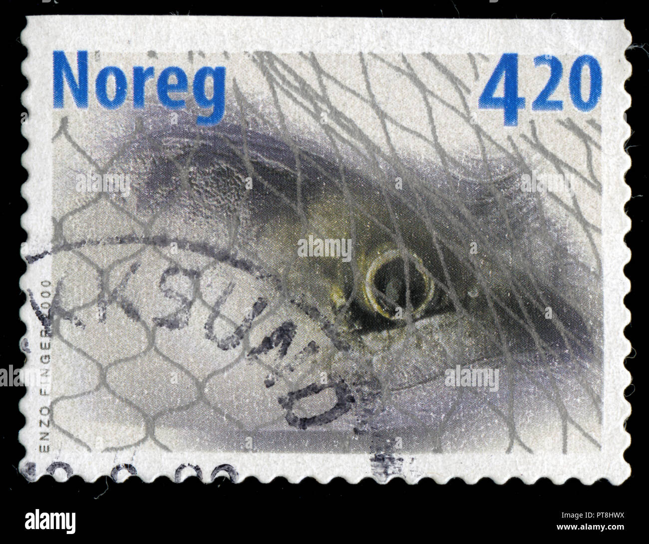 Postmarked stamp from Norway in the Fish series issued in 2000 Stock Photo