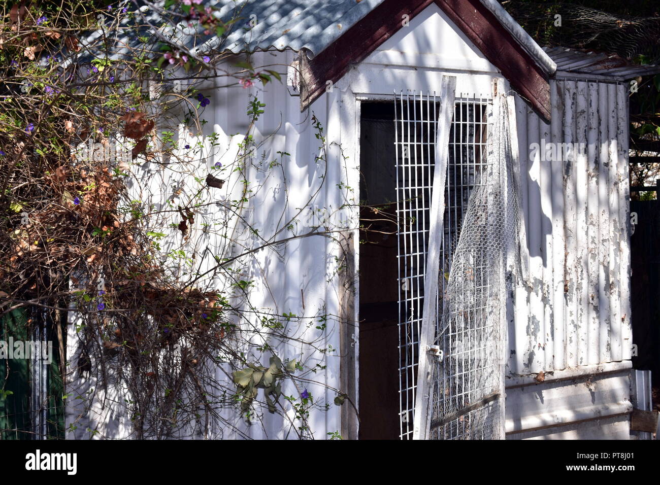 Old garden shed Stock Photo - Alamy