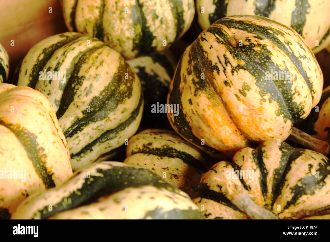 Collection of yellow and green gourds in a wooden basket Stock Photo