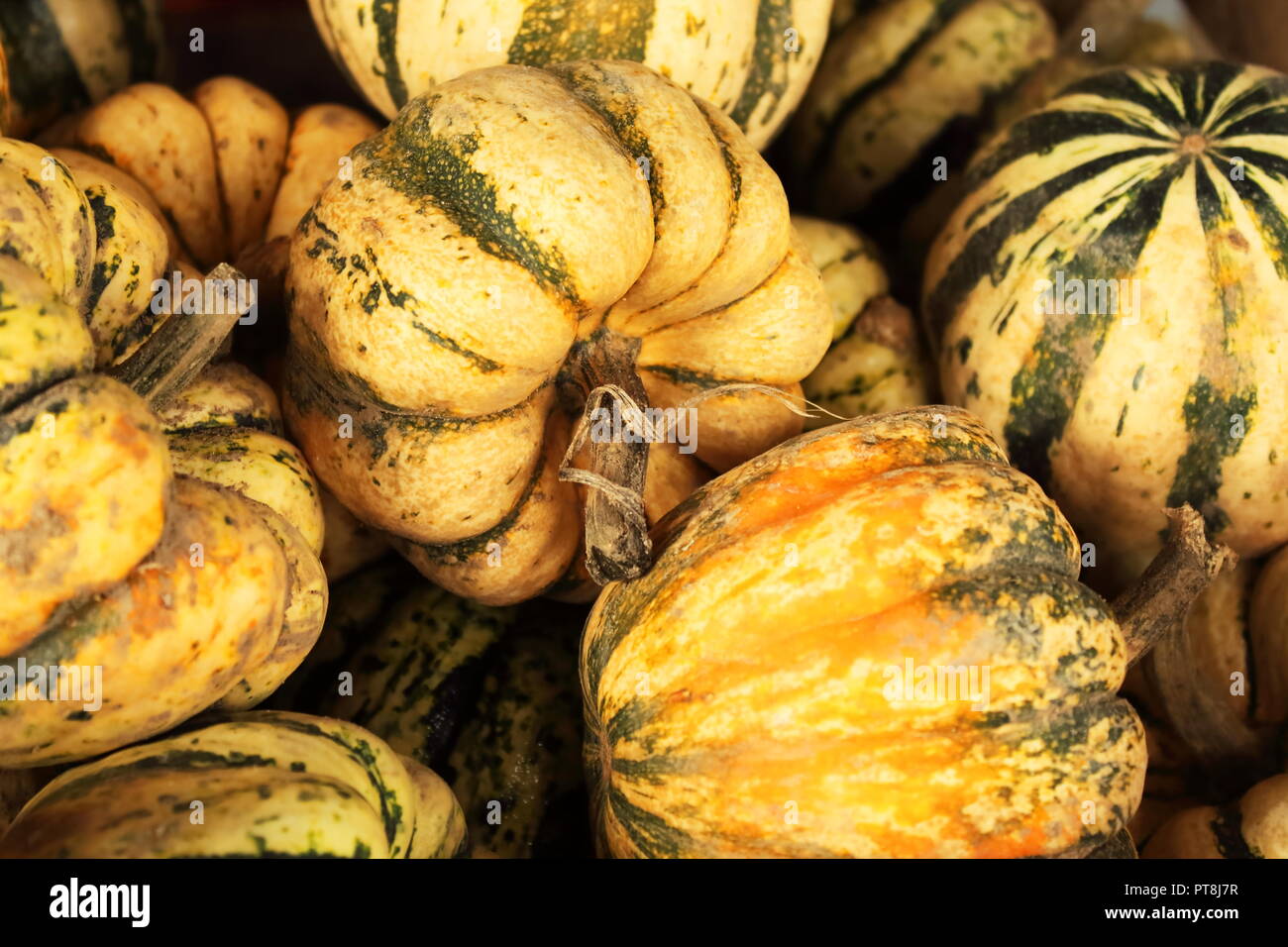 Collection of yellow and green gourds in a wooden basket Stock Photo