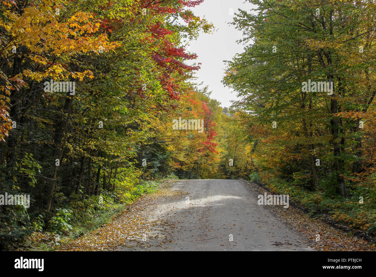 Autumn scene Stock Photo