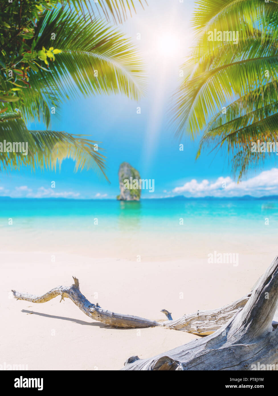 tropical beach with coconut trees Stock Photo - Alamy