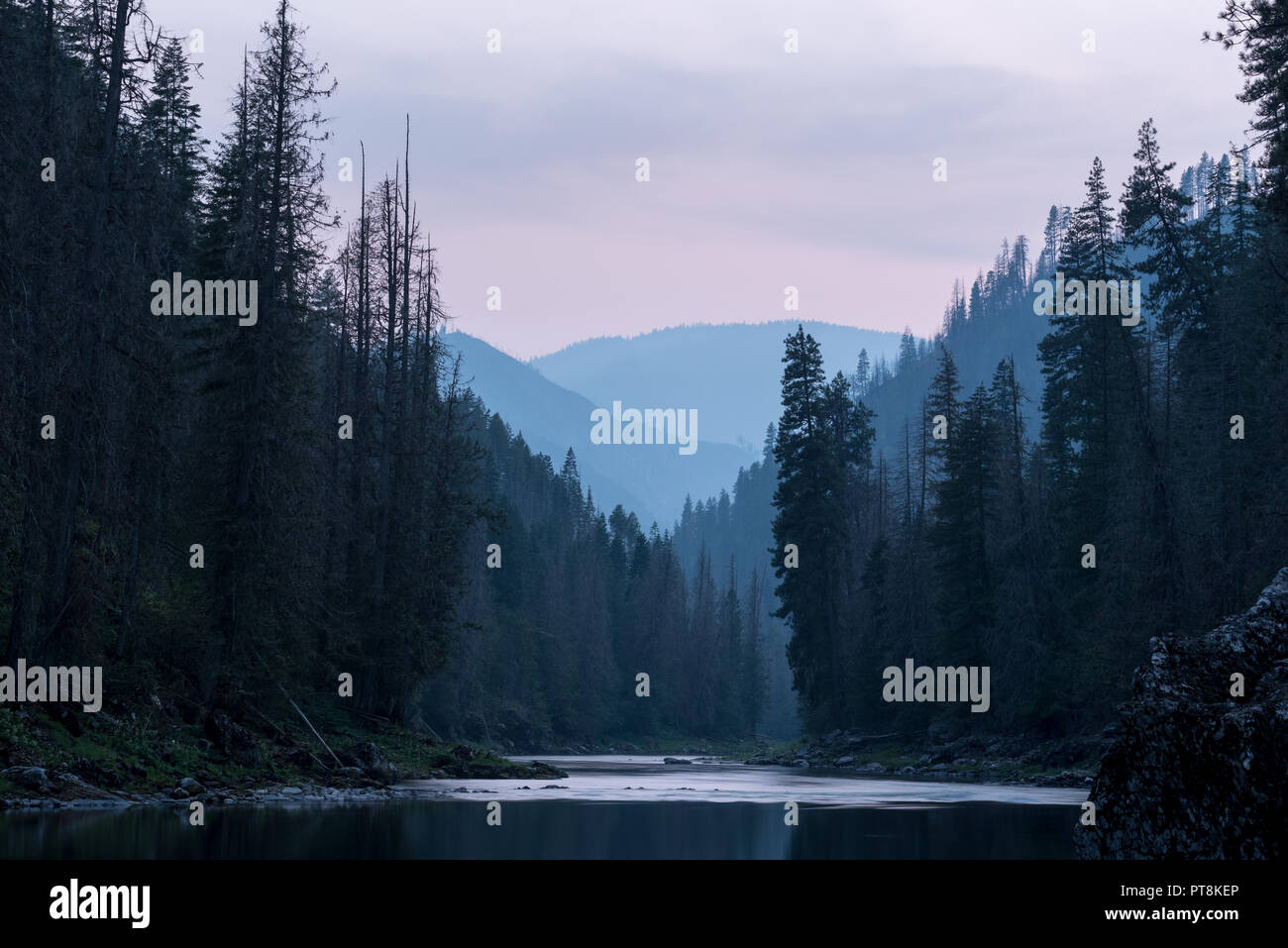 A calm section of the Selway River in the evening, Idaho. Stock Photo